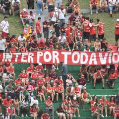Fim de mandato 4.5 (13)